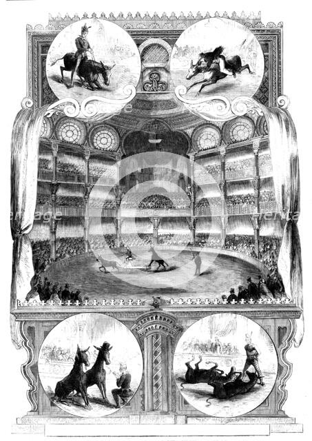 The Educated Mules at the Alhambra Palace, 1858. Creator: Unknown.