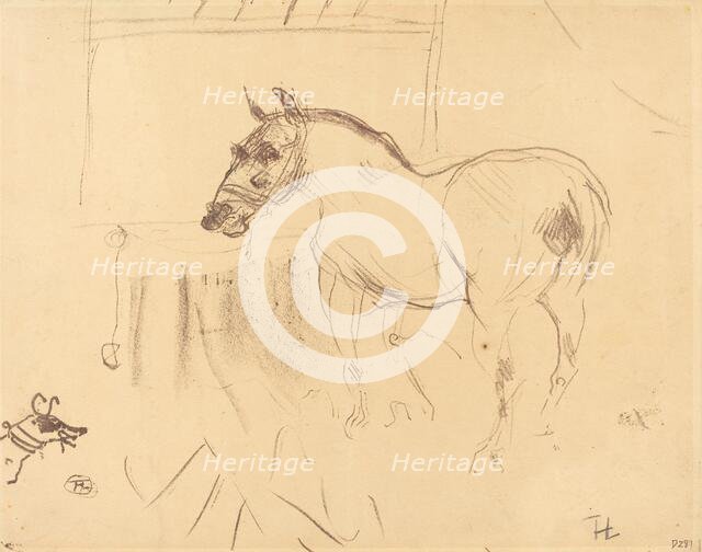 The Small Pony from Calmese (Le petit poney de Calmèse), 1899. Creator: Henri de Toulouse-Lautrec.