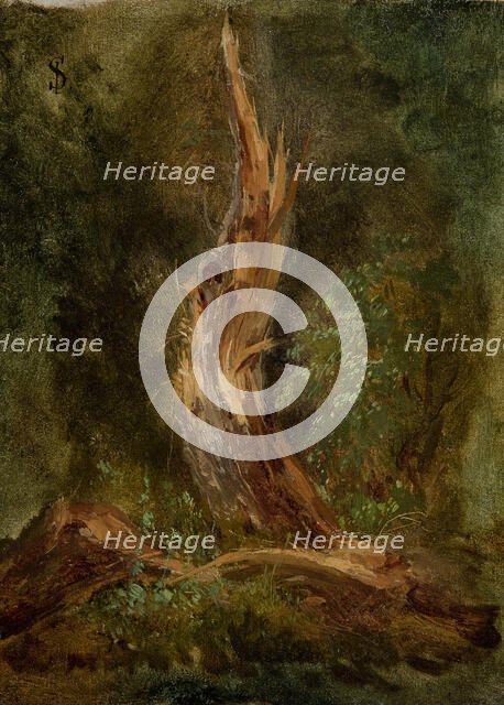 Volhynian Forest, c1864. Creator: Jozef Szermentowski.