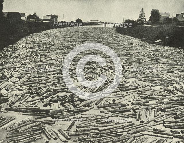 'On their Way to the Saw Mills', c1948. Creator: Unknown.
