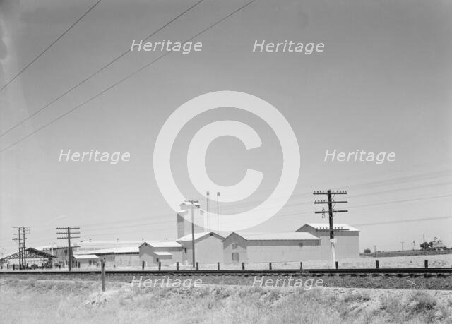 Winery belonging to Muscat Cooperative, on US 99. between Tulare and Fresno, California, 1939. Creator: Dorothea Lange.