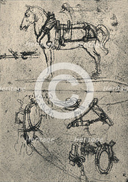 'A Harnessed Cart-Horse and Studies of Harness', c1480 (1945). Artist: Leonardo da Vinci.