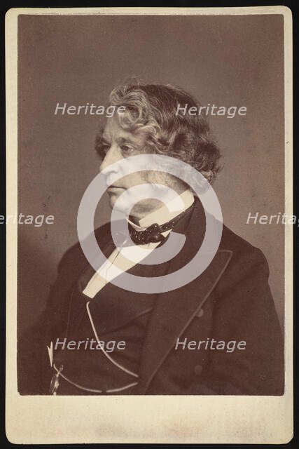 Portrait of Charles Sumner (1811-1874), 1874. Creator: Allen & Rowell.