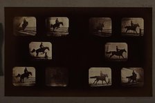 Animal Locomotion (Man On Horse Over Hurdles), Printed 1881. Creator: Eadweard J Muybridge.