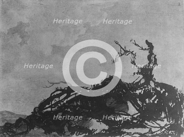 The Fallen Tree, ca. 1785. Creator: Alexander Cozens.