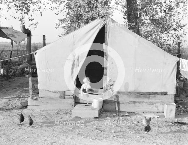 Migratory orange picker's camp, Exeter, California, 1936. Creator: Dorothea Lange.