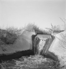 Irrigation canal seven miles west of Nyssa, Malheur County, Oregon, 1939. Creator: Dorothea Lange.