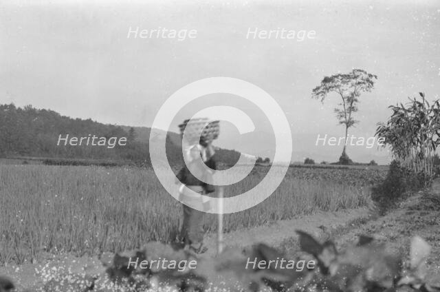Travel views of Japan and Korea, 1908. Creator: Arnold Genthe.