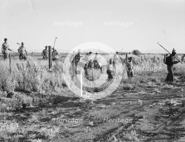 Migratory agricultural workers - cotton hoers, near Los Banos, California, 1939. Creator: Dorothea Lange.