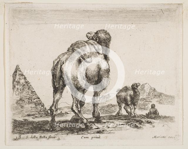 Plate 18: camel viewed from behind with pyramid at left, from 'Various animals' (Diver..., ca. 1641. Creator: Stefano della Bella.