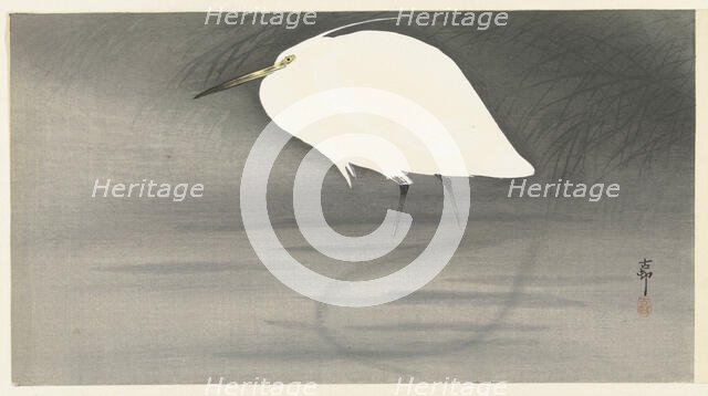 Egret. Creator: Ohara, Koson (1877-1945).