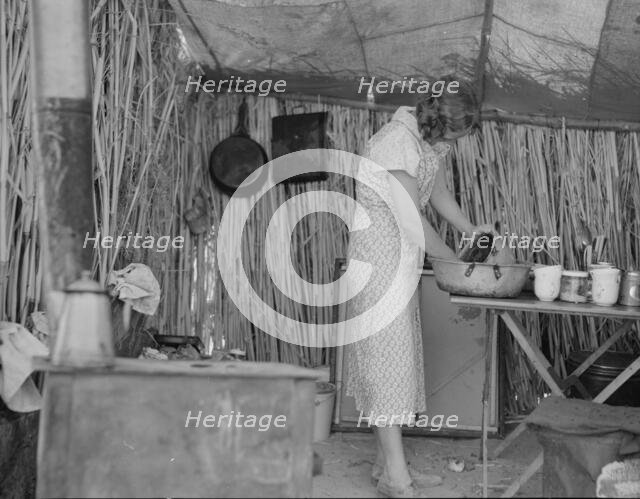 Drought refugee living in a ditch bank camp, Imperial County, California, 1937. Creator: Dorothea Lange.
