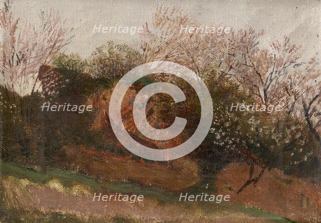 Study of Nature in Spring, 1900-1910. Creator: Ladislav Mednyanszky.