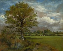 Tree In A Meadow, c1850. Creator: Lionel Constable.
