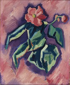Pink Begonias, 1928-1929. Creator: Marsden Hartley.