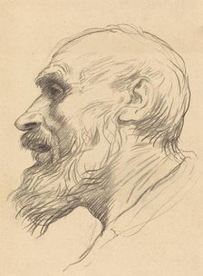 Head of an Old Man. Creator: Alphonse Legros.