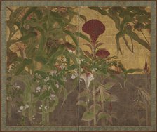 Coxcombs, maize and morning glories, Momoyama period, 17th century. Creator: Unknown.