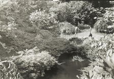 Unidentified garden, between 1920 and 1930. Creator: Frances Benjamin Johnston.