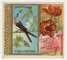 Swallow-tailed Flycatcher, from the Birds of America series (N37) for Allen & Ginter Cigar..., 1888. Creator: Allen & Ginter.
