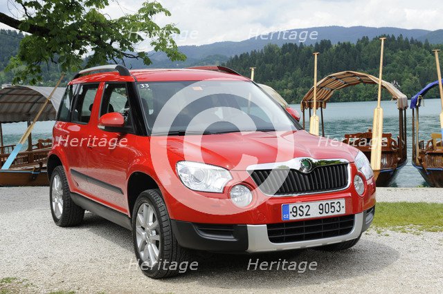 Skoda Yeti 2009. Artist: Simon Clay.