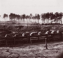 Entrenchments on left of Bermuda Hundred Lines, 1861-65. Creator: Andrew Joseph Russell.