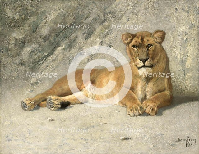 Lioness Resting, 1885. Creator: Jan van Essen.