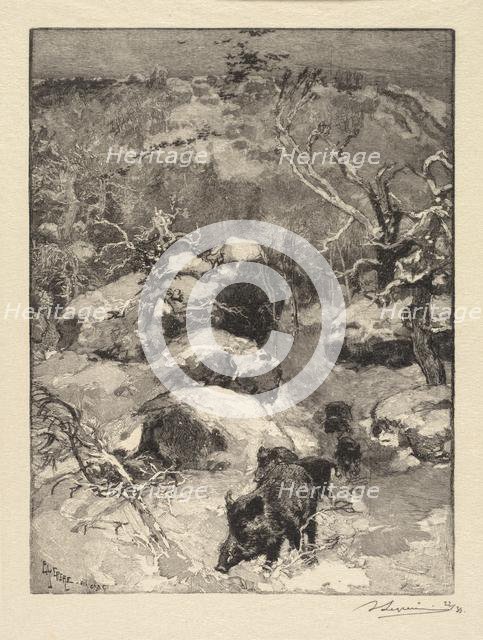 Fontainebleau Forest: Cuvier-Châtillon Cliff (La Forêt de Fontainebleau: Roche Cuvier-Châtillon), 18 Creator: Auguste Louis Lepère (French, 1849-1918); A. Desmoulins, Published in Revue Illustrée, 1887-90.