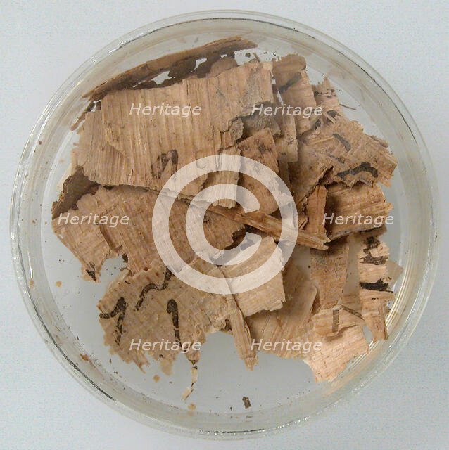 Papyri Fragments, Coptic, 7th century. Creator: Unknown.