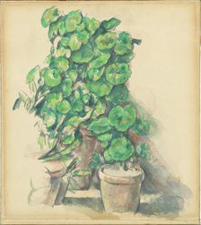 Geraniums, 1888/1890. Creator: Paul Cezanne.