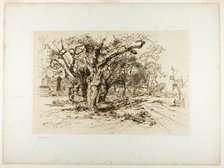 Mulford's Orchard, Easthampton, 1883. Creator: Thomas Moran.