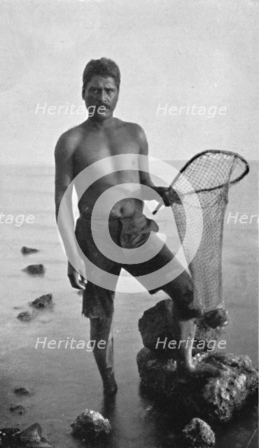 A native shrimper, Hawaii, with his net, 1902. Artist: Unknown.