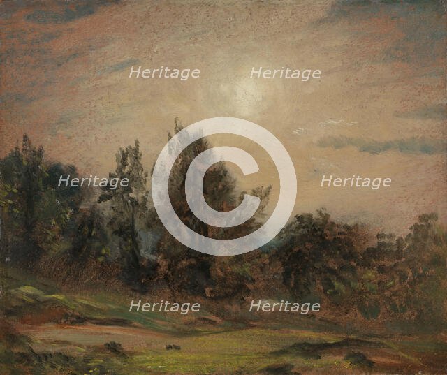 Trees on Hampstead Heath, 1821. Creator: John Constable.