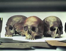 Skulls found in the stream-bed of the Walbrook, London, (60 AD?). Artist: Unknown