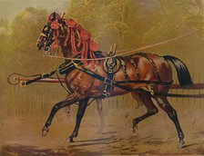 'A State Carriage Horse', c1879. Creator: Unknown.