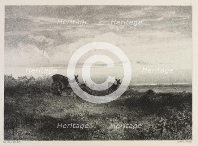 Landscape with Deer, c. 1840. Creator: Karl Bodmer (Swiss, 1809-1893).