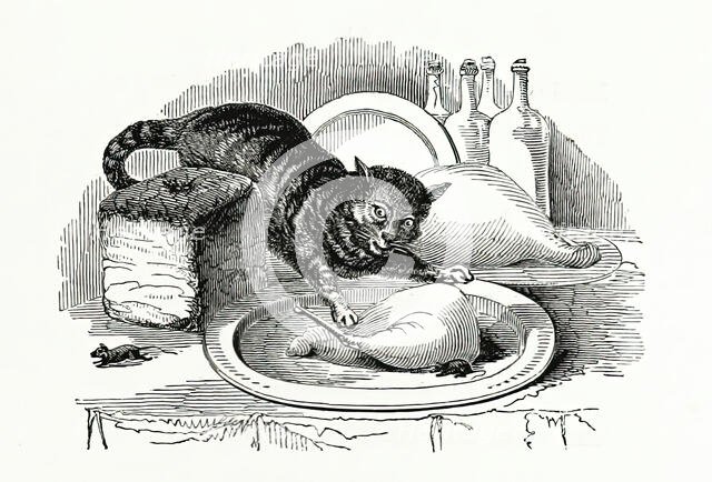 Cat stealing meat from a plate, 1847.  Creator: Unknown.
