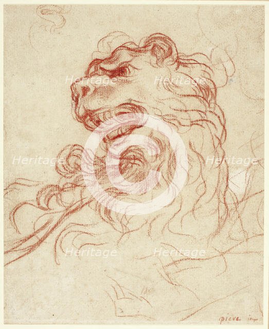 Study of the Head of a Lion, n.d. Creator: Baldassare Franceschini.