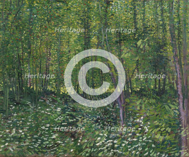 Trees and underwood, 1887. Artist: Gogh, Vincent, van (1853-1890)