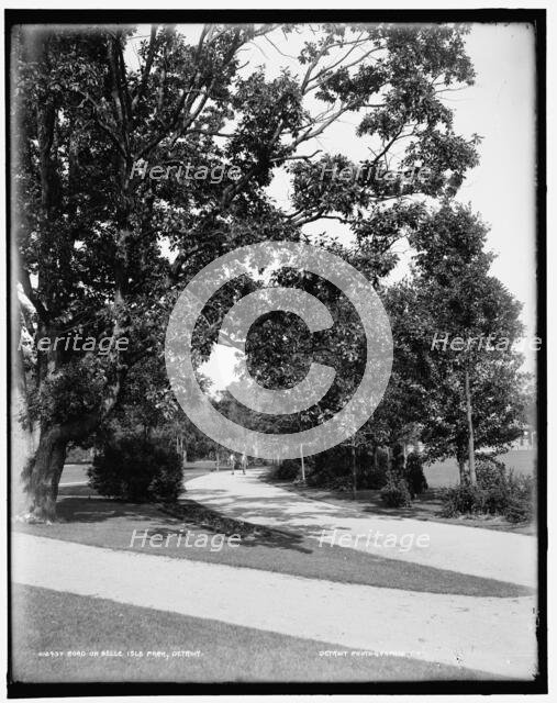 Road on Belle Isle Park, Detroit, between 1890 and 1901. Creator: Unknown.