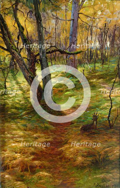 Woodland Scene, c1900s. Creator: Joseph Farquharson.