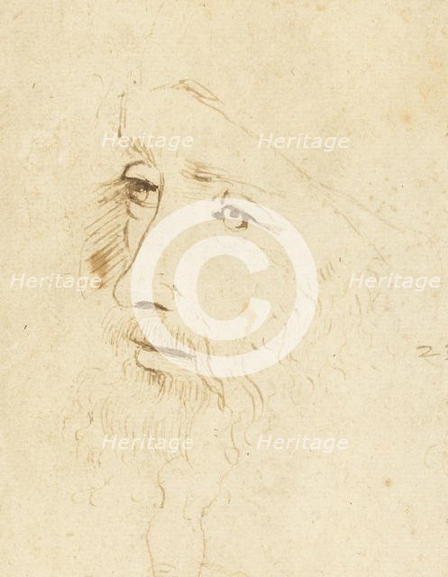 Portrait of Leonardo da Vinci, ca 1518. Creator: Leonardo da Vinci, (Circle of)  .