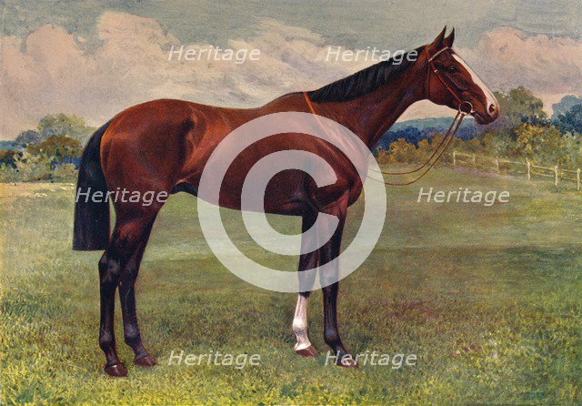 Spearmint, c1905 (c1910). Artist: Unknown.