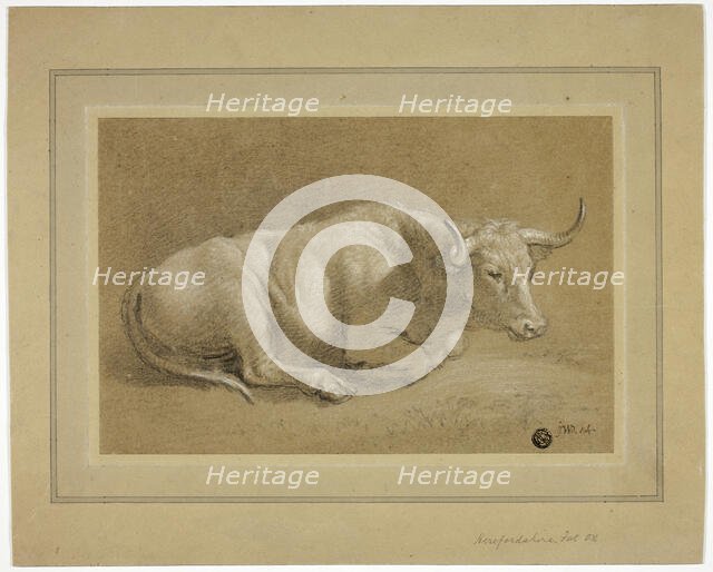 Herefordshire Fat Ox, n.d. Creator: James Ward.