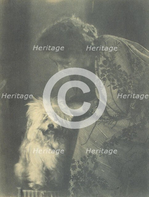 Seated woman petting her white dog, c1900. Creator: Virginia M Prall.