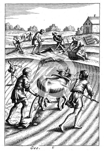 Ploughing with oxen, sowing seed broadcast and harrowing, 18th century. Artist: Unknown