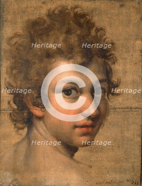 Portrait of a Boy. Creator: Fontana, Lavinia (1552-1614).