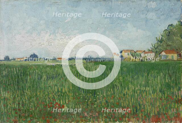 Field with Poppies, 1888. Creator: Gogh, Vincent, van (1853-1890).