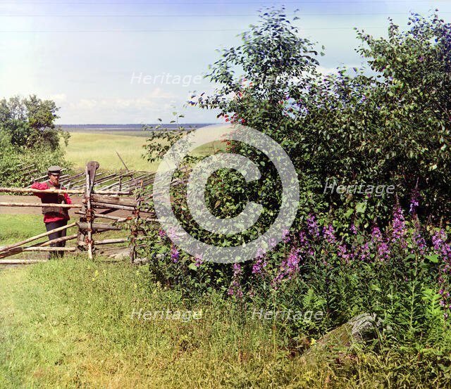 Man standing near fence and bushes, 1909. Creator: Sergey Mikhaylovich Prokudin-Gorsky.