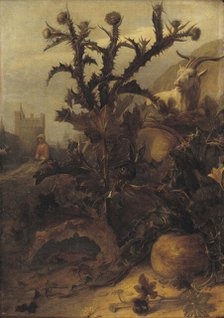 Thistle, Pumpkin and a Goat, 1675. Creator: Lambert Doomer.