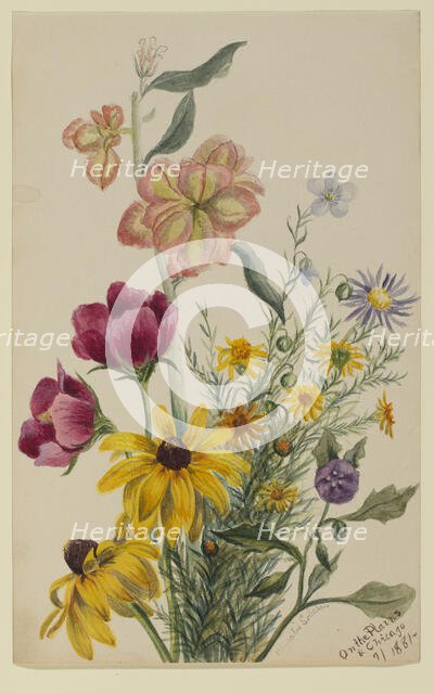Group of Flowers, 1881. Creator: Mary Vaux Walcott.